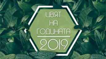 Цветът на 2019 – „Органик“, ще бъде представен на специално турне в страната